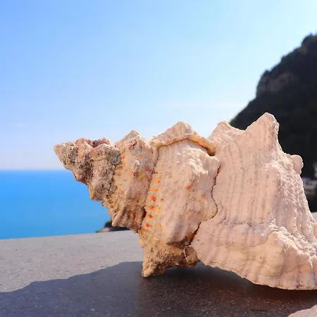 Ilary House - De Vivo Realty